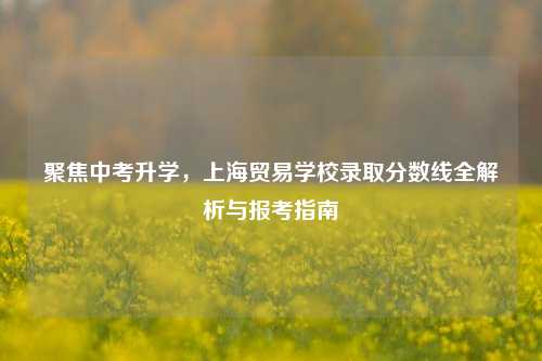 聚焦中考升学,上海贸易学校录取分数线全解析与报考指南