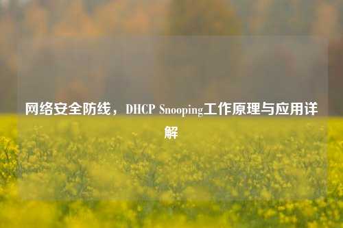 网络安全防线,DHCP Snooping工作原理与应用详解