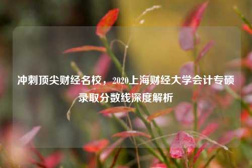 冲刺顶尖财经名校,2020上海财经大学会计专硕录取分数线深度解析