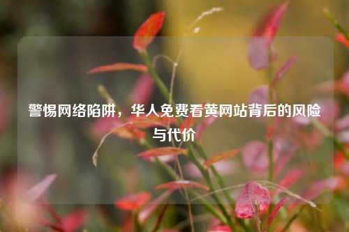 警惕网络陷阱，华人免费看黄网站背后的风险与代价