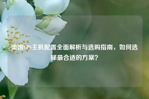美国VPS主机配置全面解析与选购指南,如何选择最合适的方案?