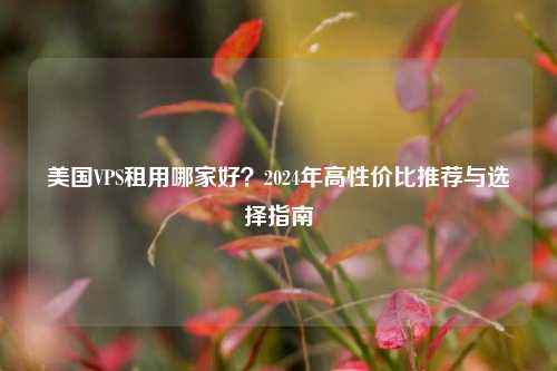 美国VPS租用哪家好?2024年高性价比推荐与选择指南