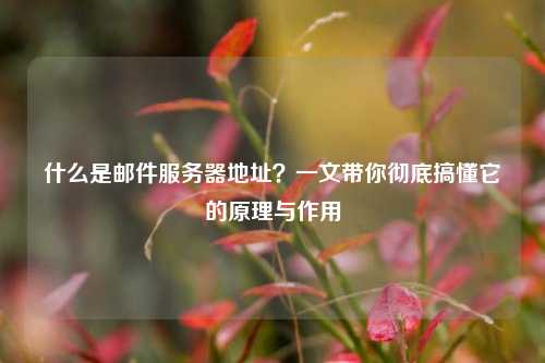 什么是邮件服务器地址?一文带你彻底搞懂它的原理与作用