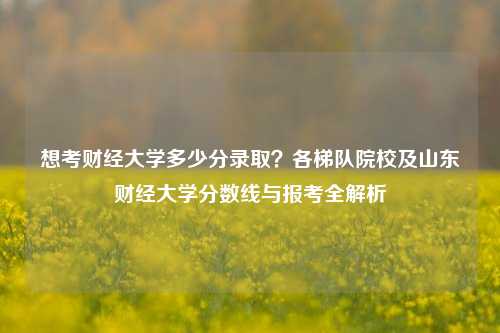 想考财经大学多少分录取?各梯队院校及山东财经大学分数线与报考全解析