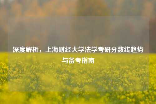深度解析,上海财经大学法学考研分数线趋势与备考指南