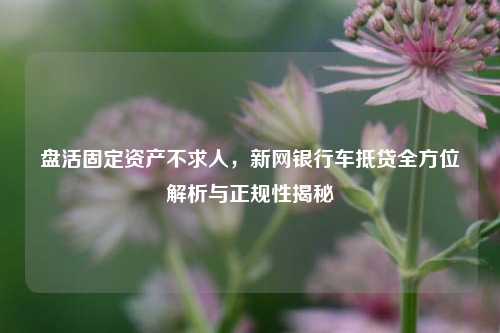 盘活固定资产不求人,新网银行车抵贷全方位解析与正规性揭秘