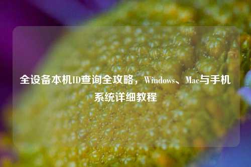 全设备本机ID查询全攻略,Windows、Mac与手机系统详细教程