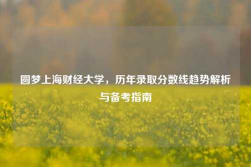 圆梦上海财经大学,历年录取分数线趋势解析与备考指南