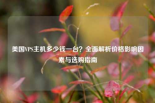 美国VPS主机多少钱一台?全面解析价格影响因素与选购指南