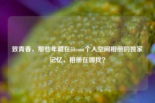 致青春,那些年藏在51com个人空间相册的独家记忆,相册在哪找?