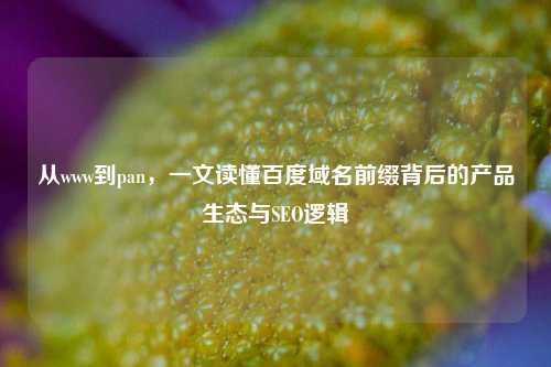从www到pan，一文读懂百度域名前缀背后的产品生态与SEO逻辑