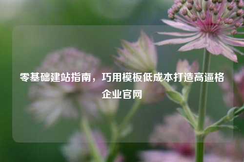 零基础建站指南，巧用模板低成本打造高逼格企业官网