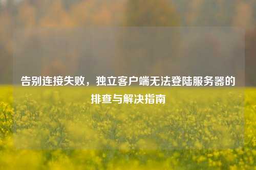 告别连接失败,独立客户端无法登陆服务器的排查与解决指南
