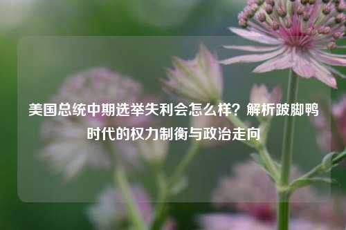 美国总统中期选举失利会怎么样？解析跛脚鸭时代的权力制衡与政治走向