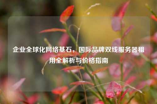 企业全球化网络基石,国际品牌双线服务器租用全解析与价格指南