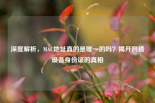 深度解析,MAC地址真的是唯一的吗?揭开网络设备身份证的真相