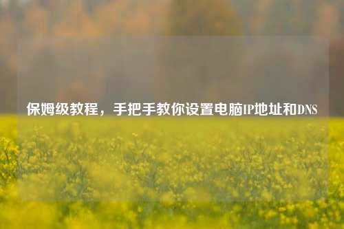 保姆级教程,手把手教你设置电脑IP地址和DNS