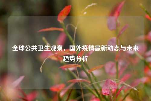 全球公共卫生观察，国外疫情最新动态与未来趋势分析