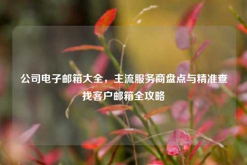 公司电子邮箱大全,主流服务商盘点与精准查找客户邮箱全攻略