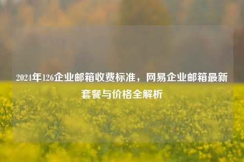 2024年126企业邮箱收费标准，网易企业邮箱最新套餐与价格全解析