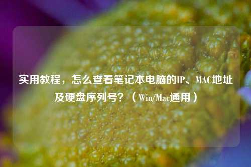 实用教程，怎么查看笔记本电脑的IP、MAC地址及硬盘序列号？（Win/Mac通用）