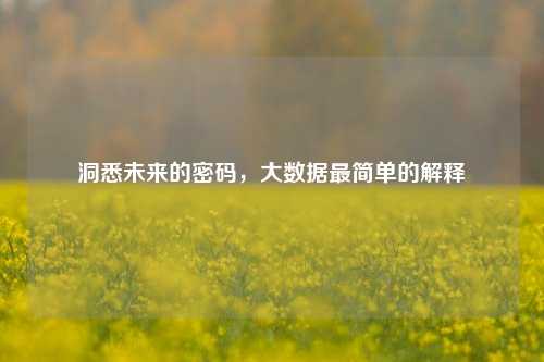 洞悉未来的密码，大数据最简单的解释