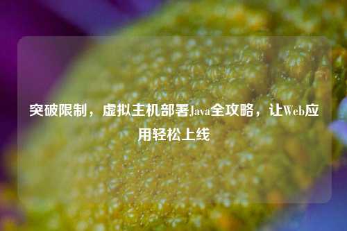 突破限制，虚拟主机部署Java全攻略，让Web应用轻松上线