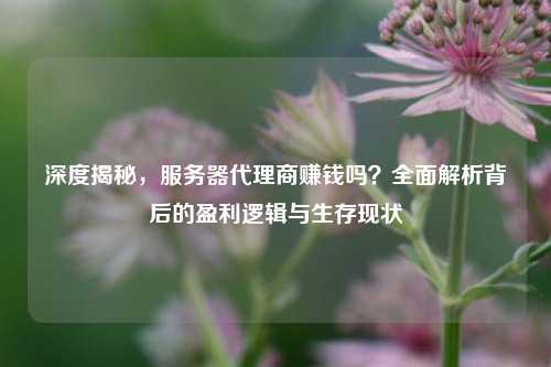 深度揭秘，服务器代理商赚钱吗？全面解析背后的盈利逻辑与生存现状