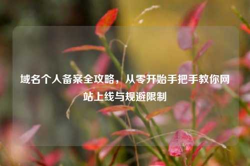 域名个人备案全攻略，从零开始手把手教你网站上线与规避限制