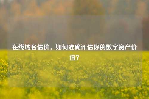 在线域名估价，如何准确评估你的数字资产价值？