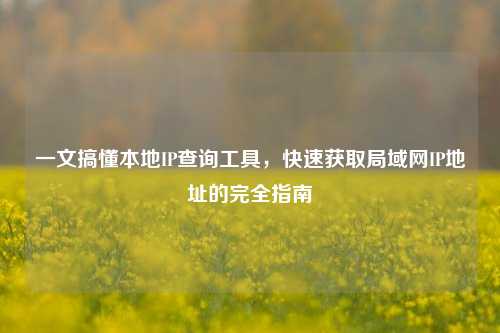 一文搞懂本地IP查询工具，快速获取局域网IP地址的完全指南