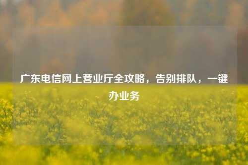 广东电信网上营业厅全攻略，告别排队，一键办业务