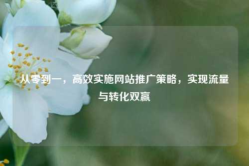 从零到一，高效实施网站推广策略，实现流量与转化双赢