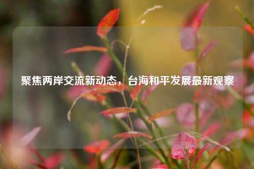 聚焦两岸交流新动态，台海和平发展最新观察