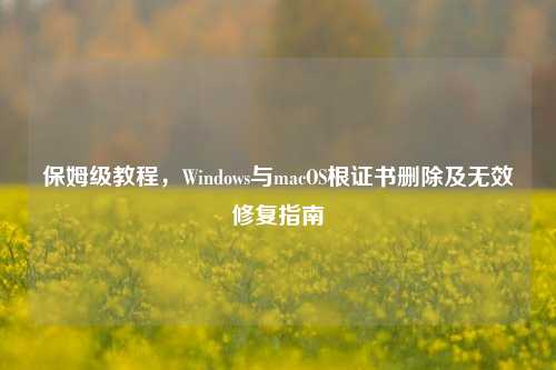 保姆级教程，Windows与macOS根证书删除及无效修复指南