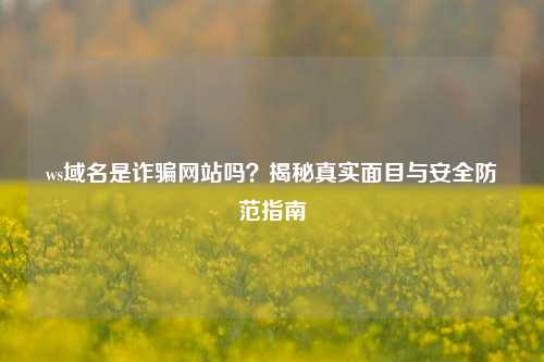 ws域名是诈骗网站吗？揭秘真实面目与安全防范指南