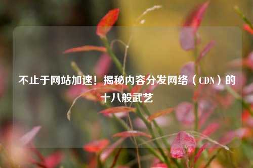 不止于网站加速！揭秘内容分发网络（CDN）的十八般武艺