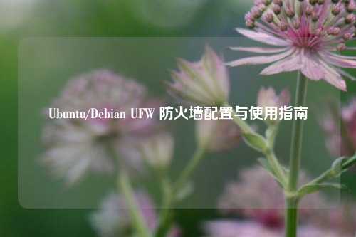 Ubuntu/Debian UFW 防火墙配置与使用指南