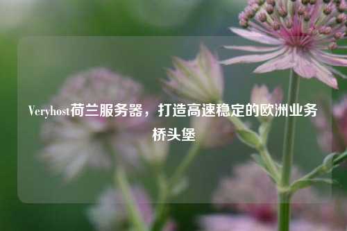 Veryhost荷兰服务器，打造高速稳定的欧洲业务桥头堡