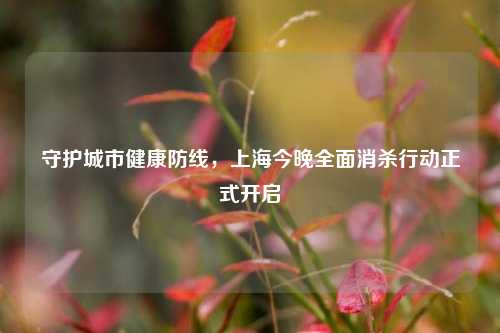 守护城市健康防线，上海今晚全面消杀行动正式开启