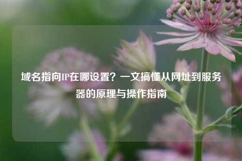 域名指向IP在哪设置?一文搞懂从网址到服务器的原理与操作指南