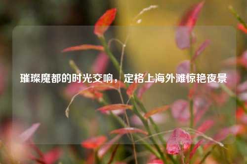 璀璨魔都的时光交响，定格上海外滩惊艳夜景