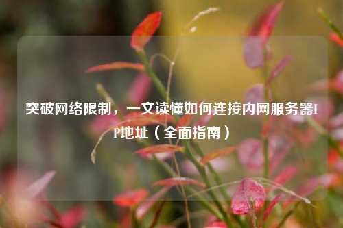 突破网络限制，一文读懂如何连接内网服务器IP地址（全面指南）