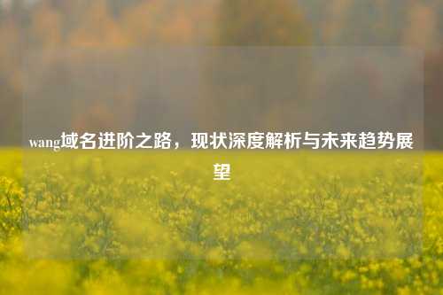 wang域名进阶之路，现状深度解析与未来趋势展望