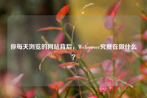 你每天浏览的网站背后，Webserver究竟在做什么？