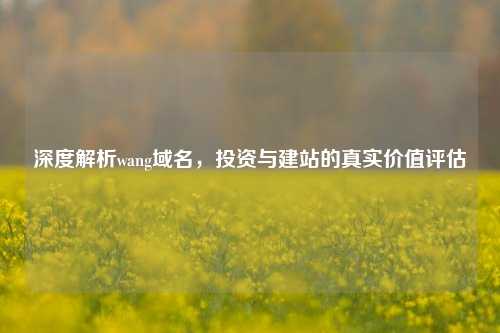 深度解析wang域名，投资与建站的真实价值评估
