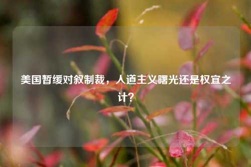 美国暂缓对叙制裁,人道主义曙光还是权宜之计?