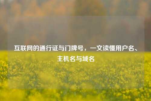 互联网的通行证与门牌号,一文读懂用户名、主机名与域名