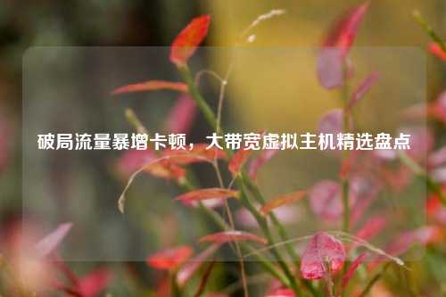 破局流量暴增卡顿，大带宽虚拟主机精选盘点
