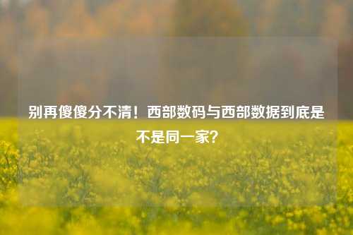 别再傻傻分不清！西部数码与西部数据到底是不是同一家？